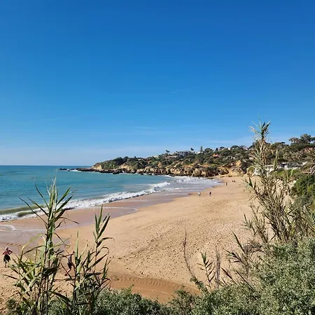 Apartamento Mar A Vista